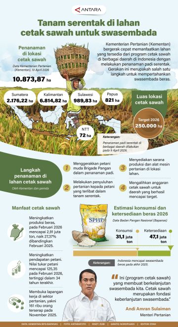 Tanam serentak di lahan cetak sawah untuk swasembada