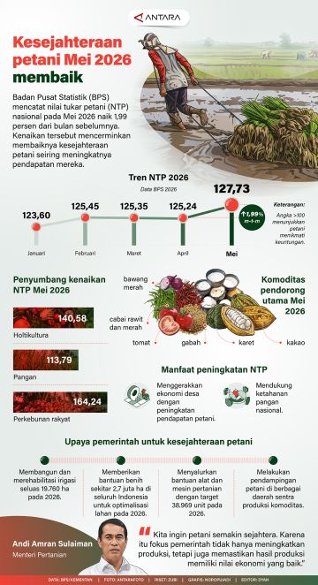 Kesejahteraan petani Mei 2026 membaik