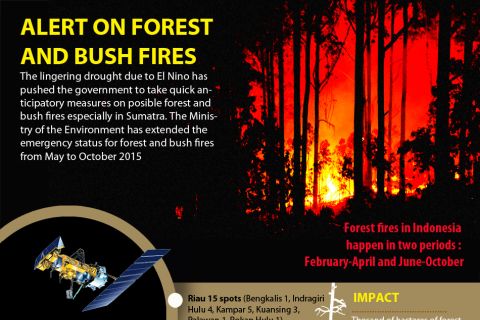 Alert on Forest and Bush Fires