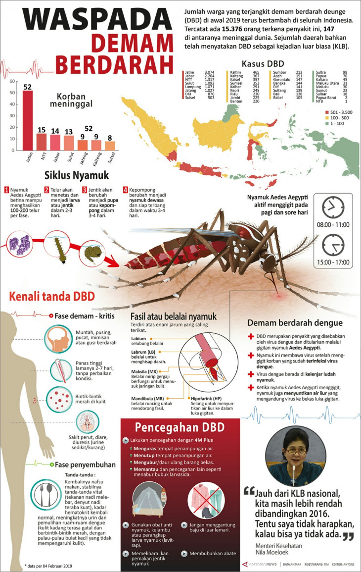 Waspada demam berdarah - Infografik ANTARA News