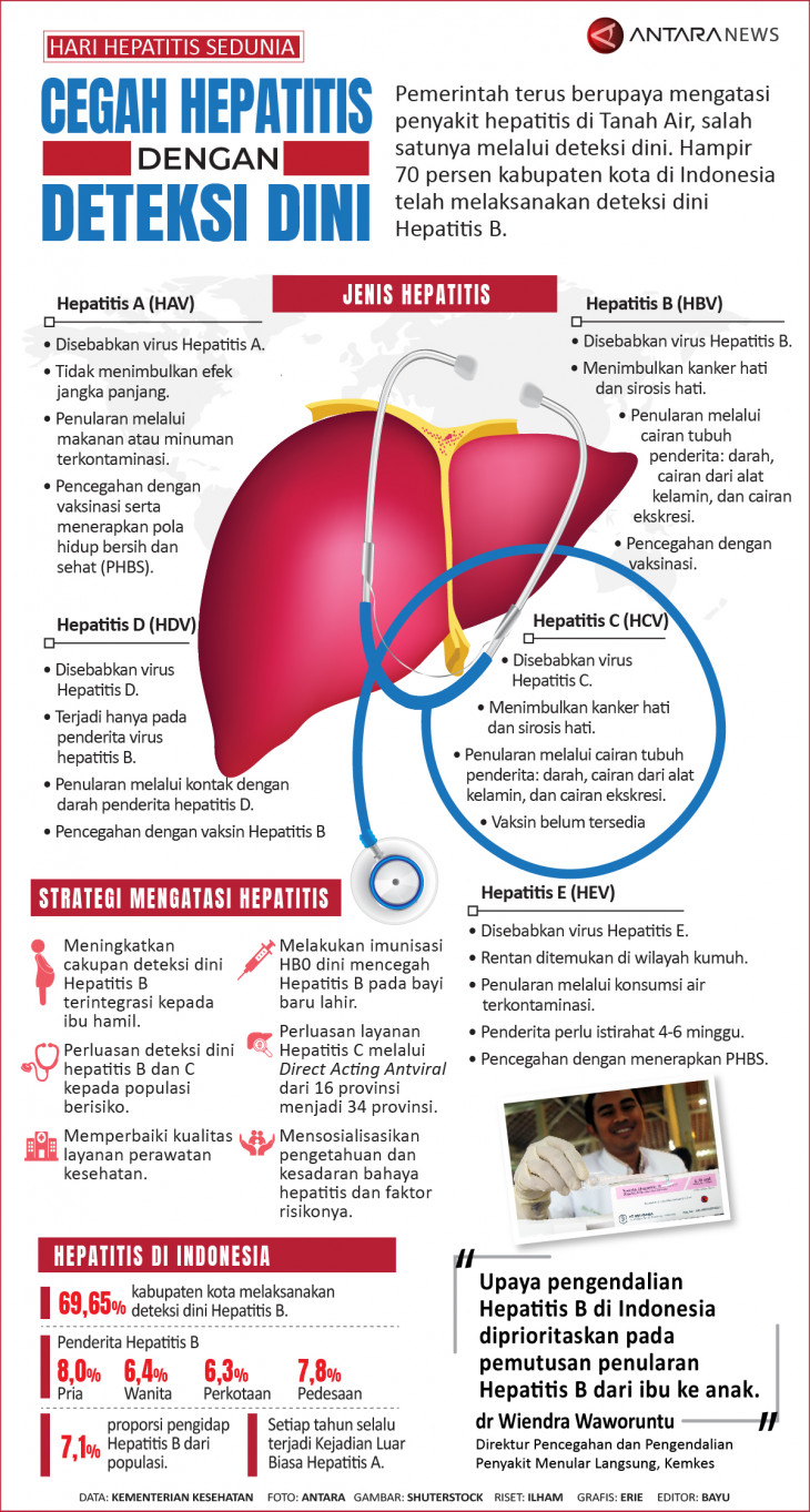 Infografis Hepatitis