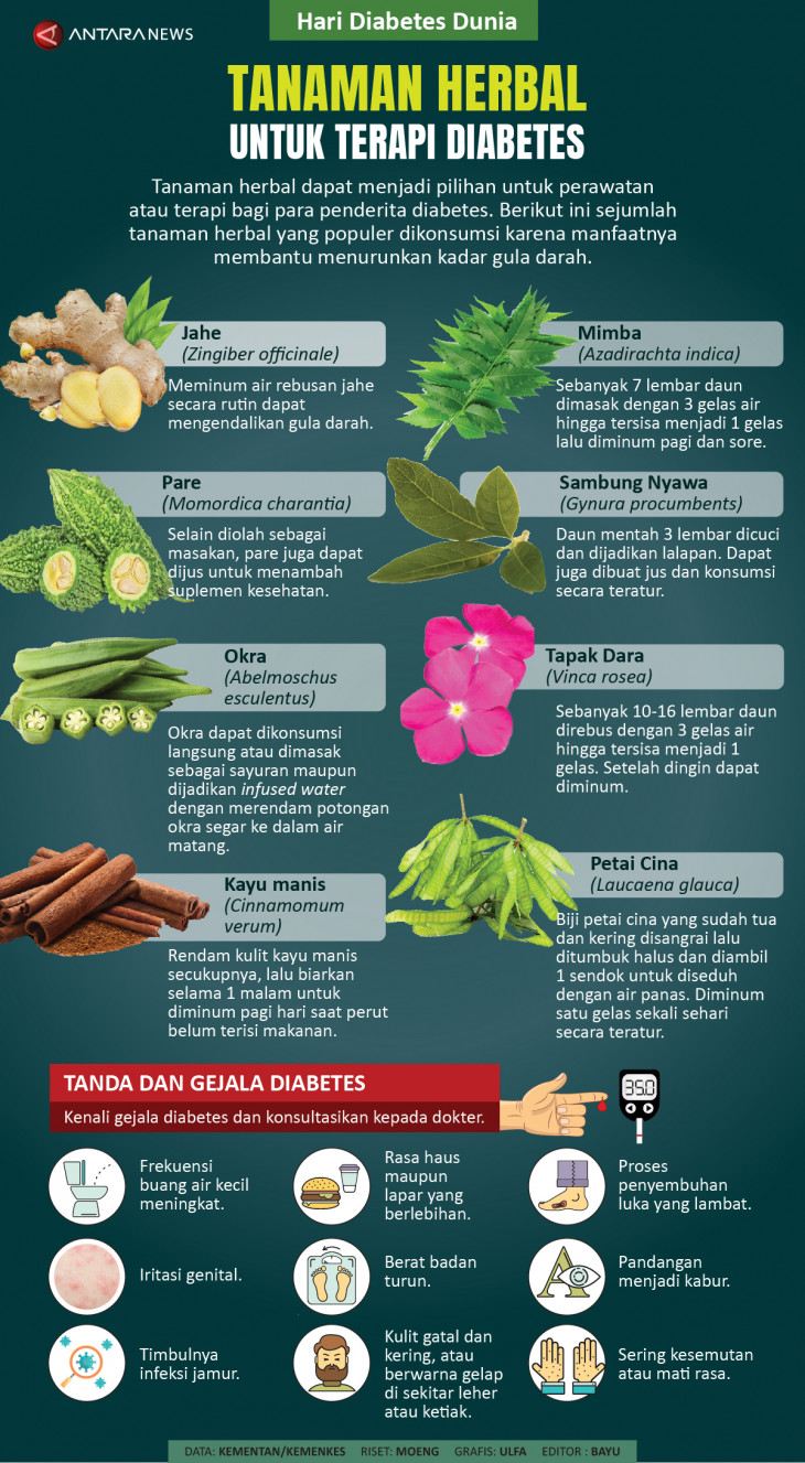 Terapi Herbal Tradisional Sasak Untuk Kesehatan