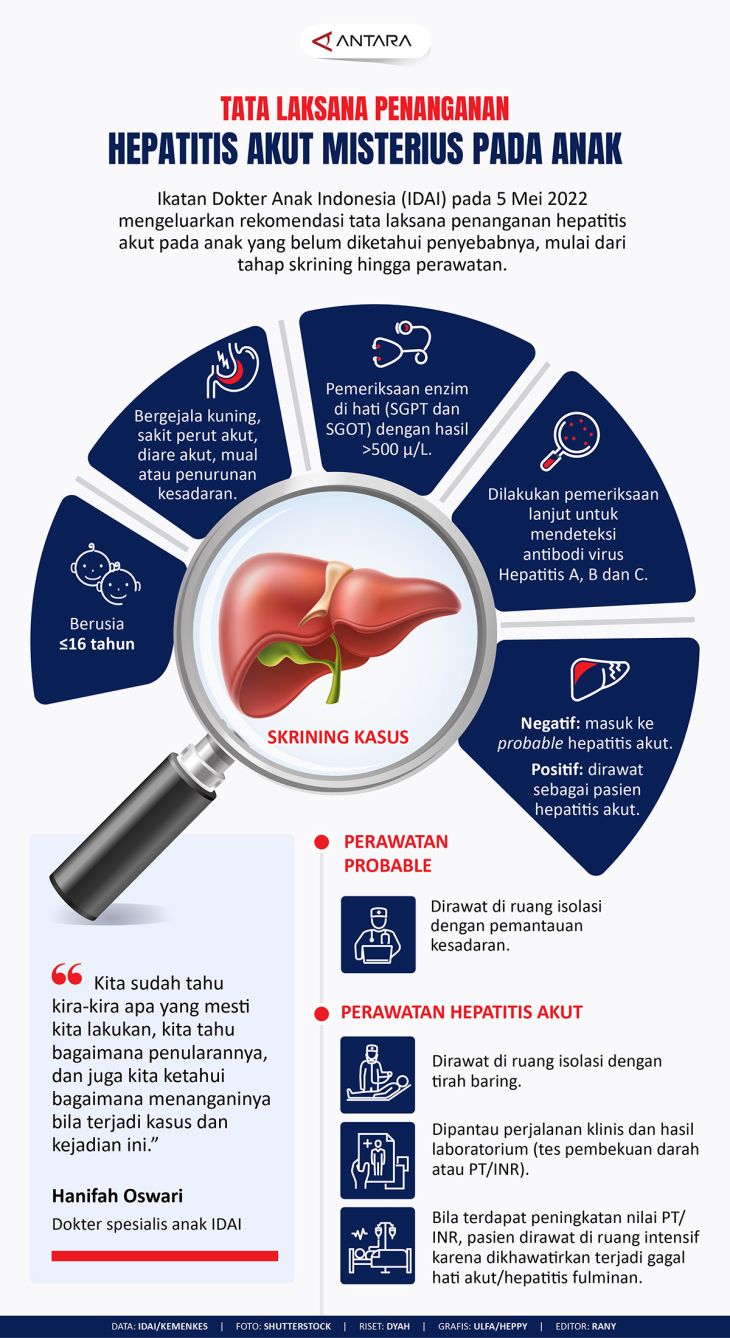 Tata Laksana Penanganan Hepatitis Akut Misterius Pada Anak - Infografik ...