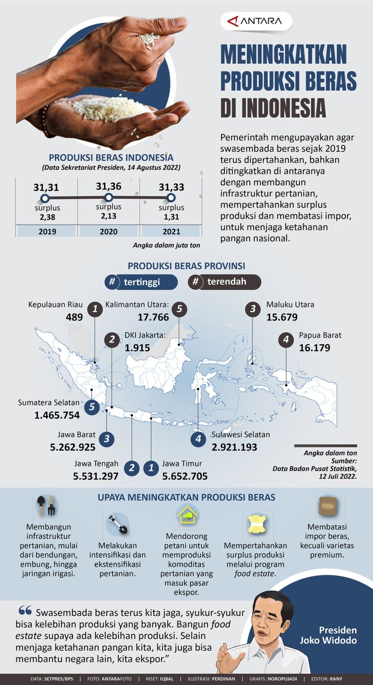 Meningkatkan Produksi Beras Di Indonesia - Infografik ANTARA News