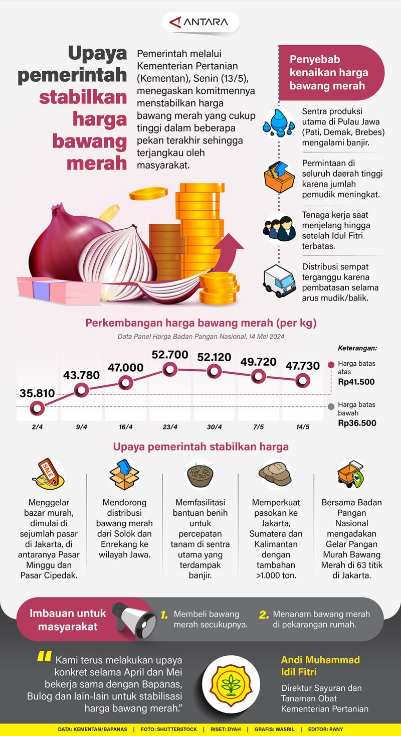 Upaya Pemerintah Stabilkan Harga Bawang Merah - Infografik ANTARA News