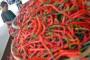 Cabe Merah Mendorong Inflasi di Padang
