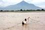 Ratusan Hektare Sawah di Cilacap Terendam Banjir