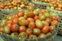 Harga Tomat Sayur di Palembang Naik