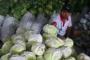 Harga Sayur Merangkak Naik di Bengkulu