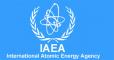 IAEA Siap Bantu Indonesia Bangun PLTN