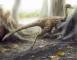 Penemuan Dinosaurus Jenis Baru di China