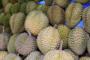 Kulit Durian Dijadikan Pupuk
