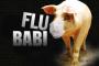 Mutasi Virus Flu Babi Menyebar di Eropa