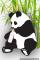 Bosan Makan Bambu, Panda Tergila-gila Pada Susu