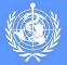 WHO: Korban Meninggal Karena Virus H1N1 Capai 700 Orang
