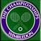Juara Tunggal Putera Wimbledon Sejak 1922