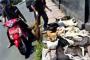 Warga Keluhkan 363 Bangkai Anjing Diracun Pemkot