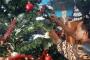 Umat Kristiani di Mamuju Gelar Kebaktian Jelang Natal