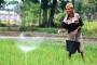 Pemkab Kubu Raya Dorong Petani Gunakan Tricoderma