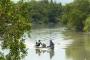 Presiden Tinjau Hutan Mangrove Twa Muara Angke