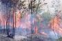 Titik Api Bermunculan di Sumatera