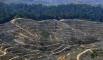 Kerusakan Hutan Indonesia Semakin Parah