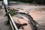Banjir Lahar Dingin S. Bebeng Hanyutkan Ratusan Pohon Sengon