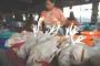 Harga Daging Ayam di Tangerang Merangkak Naik