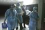 Kasus Flu Babi Naik Dramatis di Spanyol