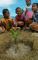 Maluku Sukseskan Program "Satu Orang Satu Pohon"