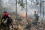 Puluhan Hektare Pinus Gunung Guntur Terbakar