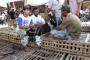 Pedagang Ayam Kembali Berdemo Tolak Perda Unggas