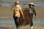 Sulbar Gandeng Investor Korsel Kembangkan Rumput Laut