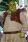 "Shrek" ke-4 akan Dibuka di Tribeca Festival