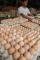 Harga Telur Naik 25 Persen di Batam